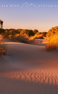 L’Espiguette, la spiaggia di dune e il faro