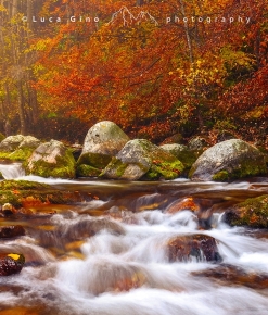 Valle Pesio in autunno