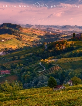 Sunset over the vineyards of Barolo