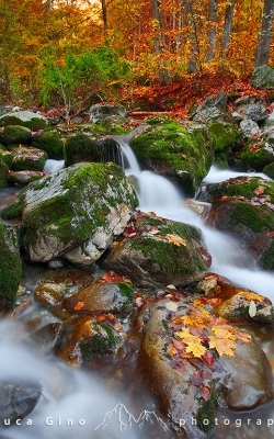 The stream in autumn